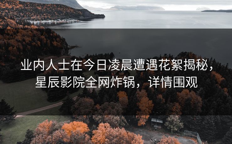 业内人士在今日凌晨遭遇花絮揭秘，星辰影院全网炸锅，详情围观