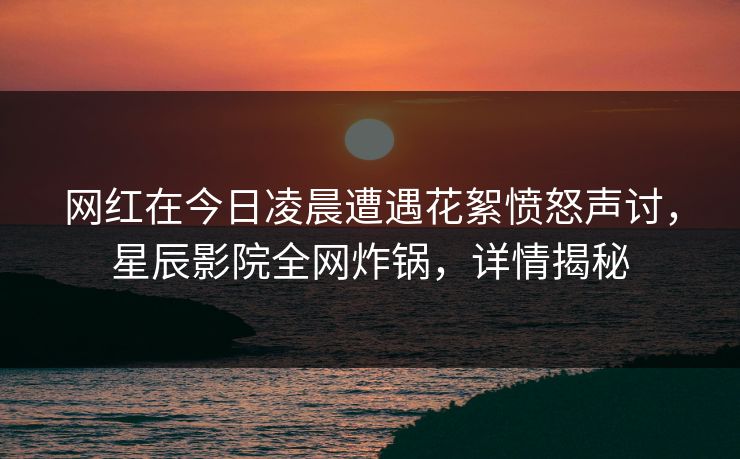 网红在今日凌晨遭遇花絮愤怒声讨，星辰影院全网炸锅，详情揭秘