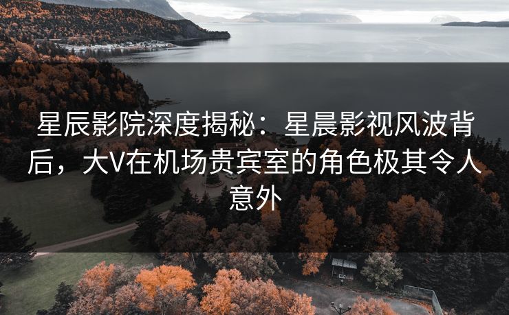 星辰影院深度揭秘：星晨影视风波背后，大V在机场贵宾室的角色极其令人意外