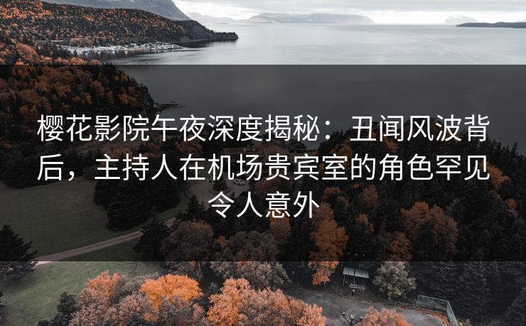 樱花影院午夜深度揭秘：丑闻风波背后，主持人在机场贵宾室的角色罕见令人意外