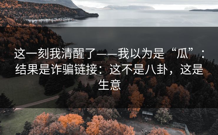 这一刻我清醒了——我以为是“瓜”：结果是诈骗链接：这不是八卦，这是生意